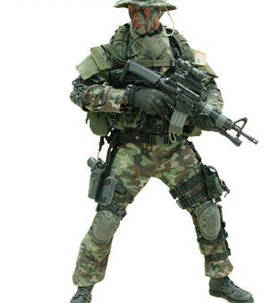 Hot Toys 1 6 12  U.S. Navy Seals Socom Combined Assault Action Figure Online Hot Sale