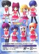 Toranoana Palm Characters ToHeart2 8+1 Secret 9 Trading Figure Set Sale