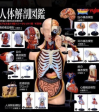 Yujin Human Anatomy Illustrated Book Model Gashapon Part 1 14 Collection Figure Set Cheap